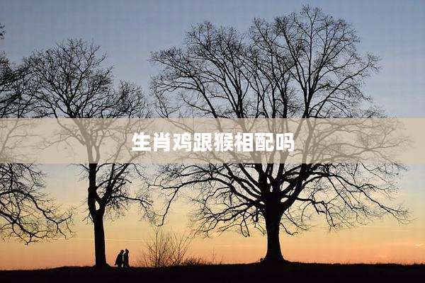 生肖鸡跟猴相配吗