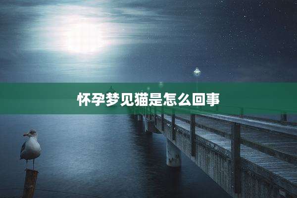 怀孕梦见猫是怎么回事