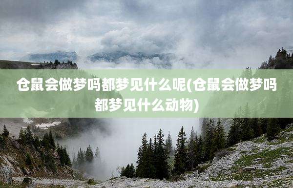 仓鼠会做梦吗都梦见什么呢(仓鼠会做梦吗都梦见什么动物)