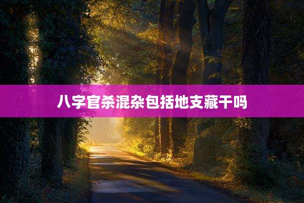 八字官杀混杂包括地支藏干吗