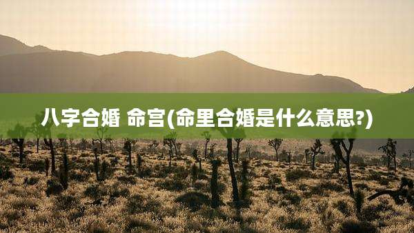 八字合婚 命宫(命里合婚是什么意思?)