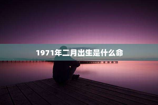 1971年二月出生是什么命