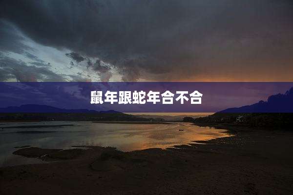 鼠年跟蛇年合不合