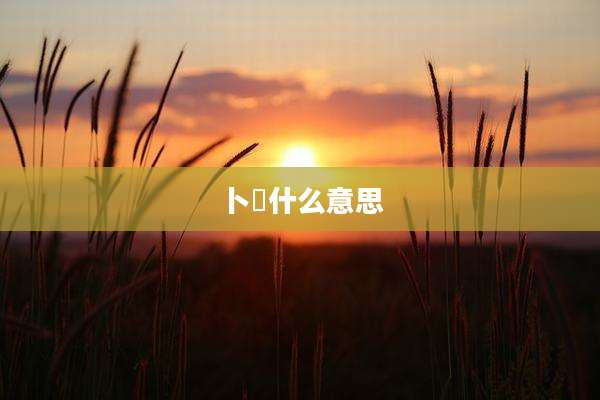 卜冚什么意思