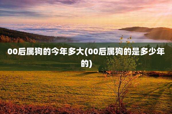 00后属狗的今年多大(00后属狗的是多少年的)