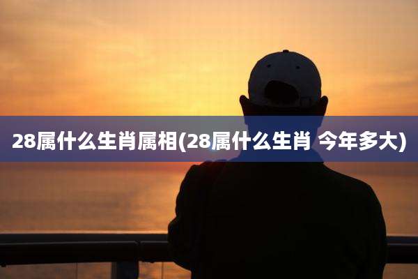 28属什么生肖属相(28属什么生肖 今年多大)