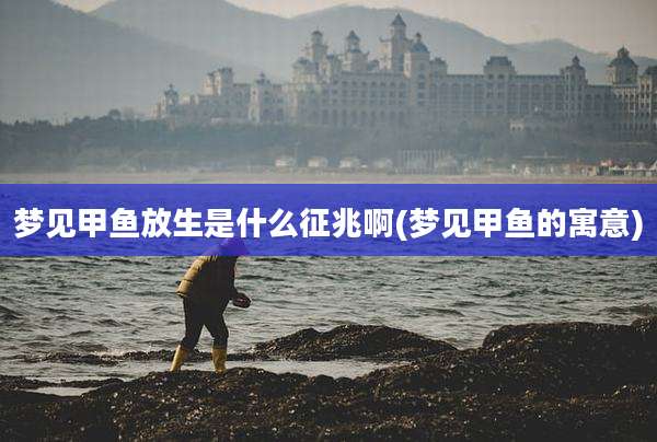 梦见甲鱼放生是什么征兆啊(梦见甲鱼的寓意)