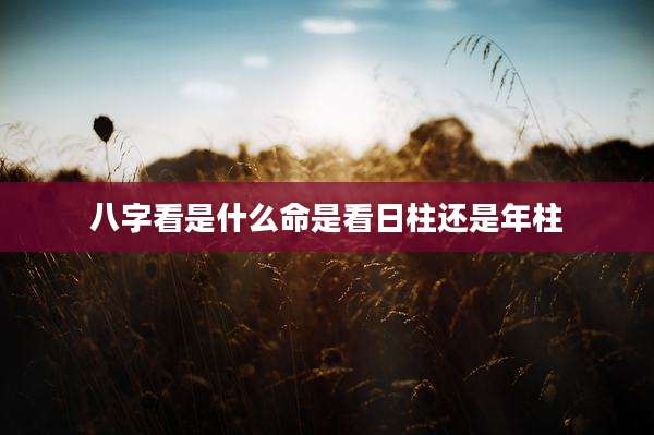 八字看是什么命是看日柱还是年柱