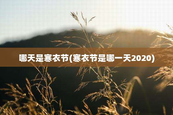 哪天是寒衣节(寒衣节是哪一天2020)