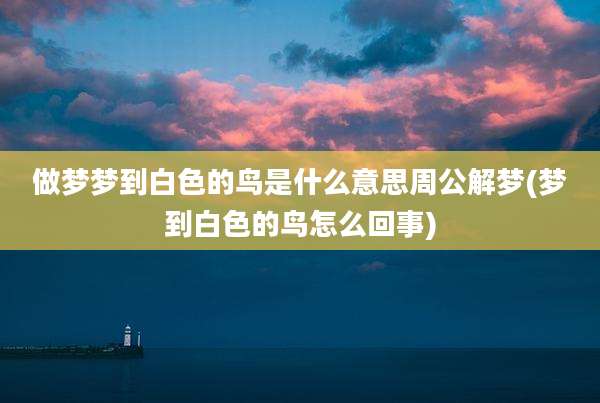 做梦梦到白色的鸟是什么意思周公解梦(梦到白色的鸟怎么回事)