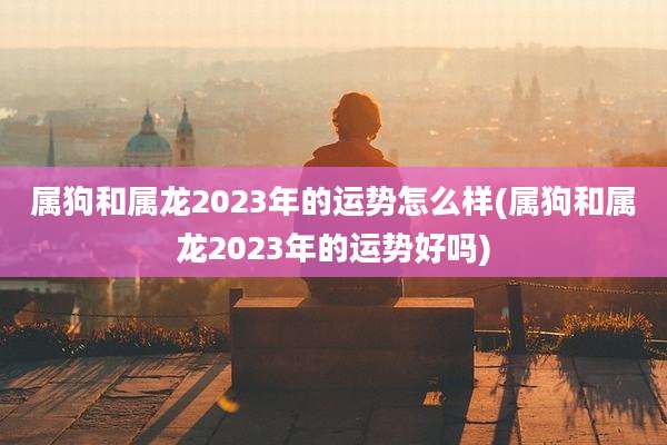 属狗和属龙2023年的运势怎么样(属狗和属龙2023年的运势好吗)
