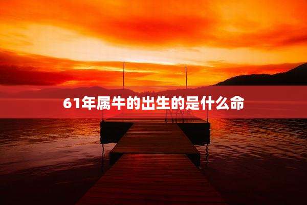 61年属牛的出生的是什么命