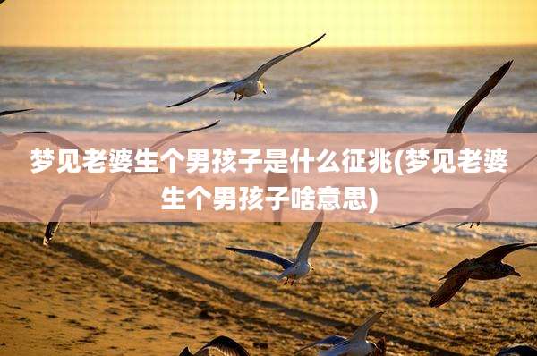 梦见老婆生个男孩子是什么征兆(梦见老婆生个男孩子啥意思)