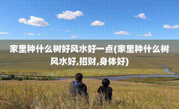家里种什么树好风水好一点(家里种什么树风水好,招财,身体好)