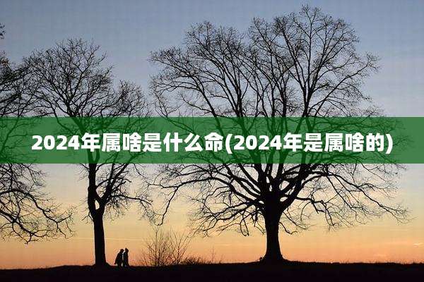 2024年属啥是什么命(2024年是属啥的)