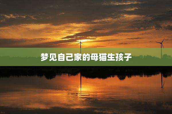 梦见自己家的母猫生孩子