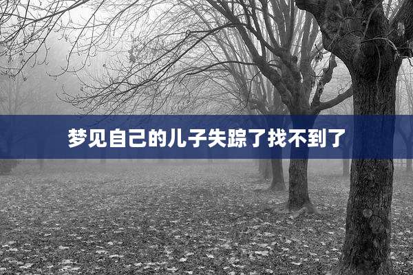 梦见自己的儿子失踪了找不到了