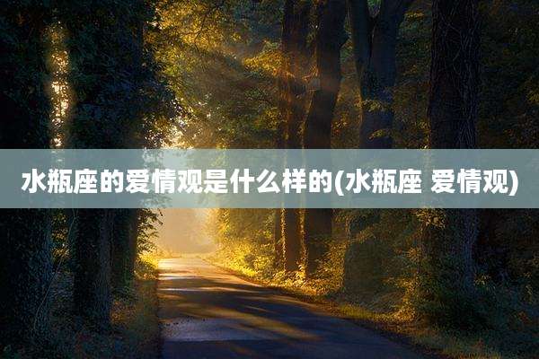 水瓶座的爱情观是什么样的(水瓶座 爱情观)