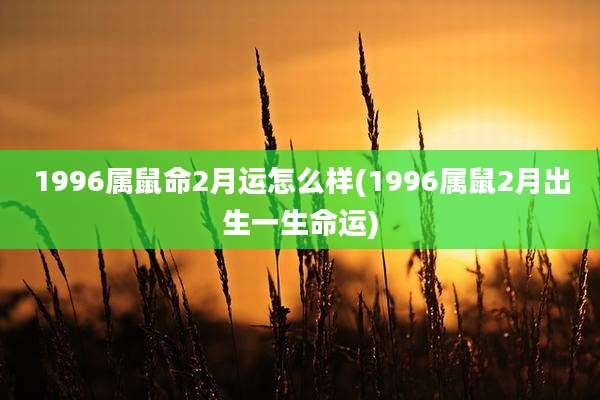1996属鼠命2月运怎么样(1996属鼠2月出生一生命运)