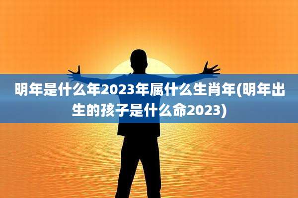 明年是什么年2023年属什么生肖年(明年出生的孩子是什么命2023)