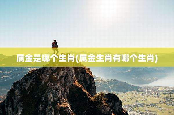 属金是哪个生肖(属金生肖有哪个生肖)