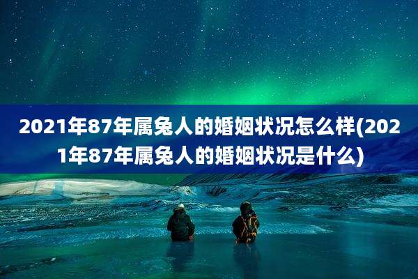 2021年87年属兔人的婚姻状况怎么样(2021年87年属兔人的婚姻状况是什么)