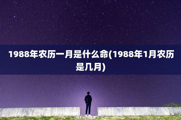 1988年农历一月是什么命(1988年1月农历是几月)