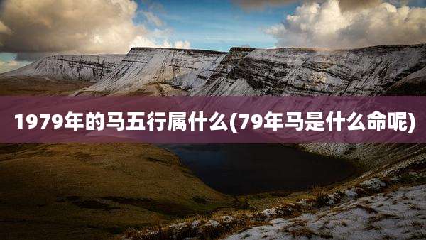 1979年的马五行属什么(79年马是什么命呢)