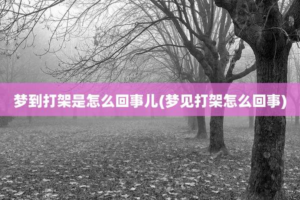 梦到打架是怎么回事儿(梦见打架怎么回事)