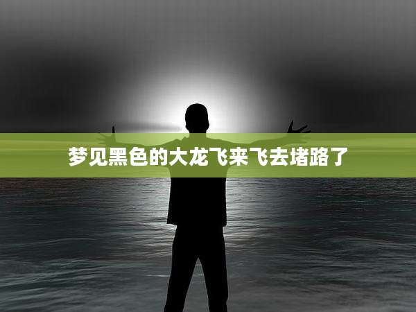 梦见黑色的大龙飞来飞去堵路了