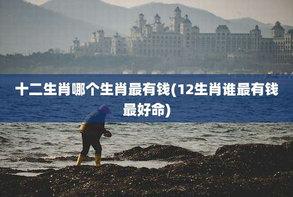 十二生肖哪个生肖最有钱(12生肖谁最有钱最好命)