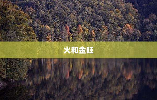 火和金旺