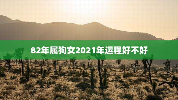 82年属狗女2021年运程好不好