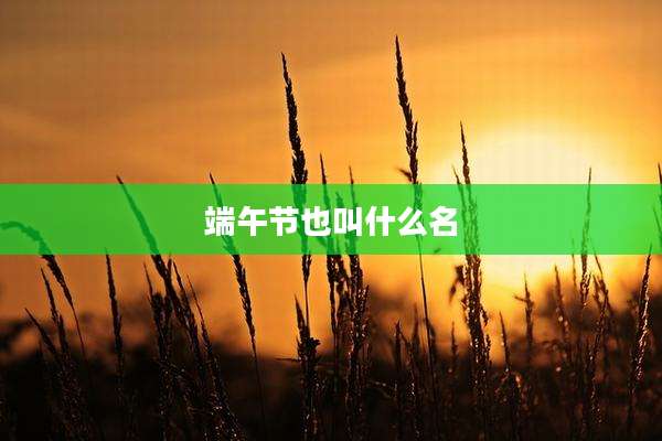 端午节也叫什么名
