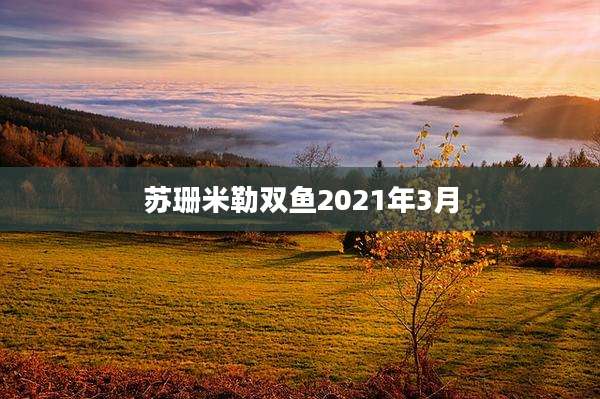 苏珊米勒双鱼2021年3月