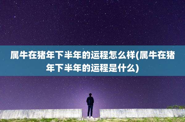 属牛在猪年下半年的运程怎么样(属牛在猪年下半年的运程是什么)