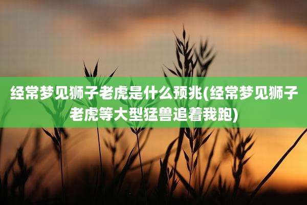 经常梦见狮子老虎是什么预兆(经常梦见狮子老虎等大型猛兽追着我跑)