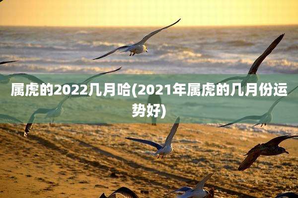 属虎的2022几月哈(2021年属虎的几月份运势好)