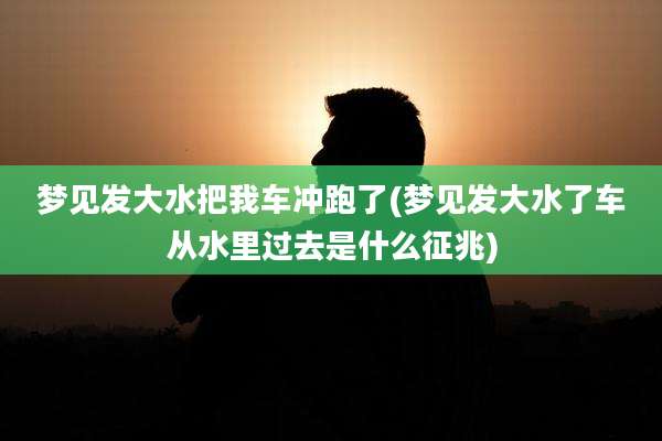 梦见发大水把我车冲跑了(梦见发大水了车从水里过去是什么征兆)