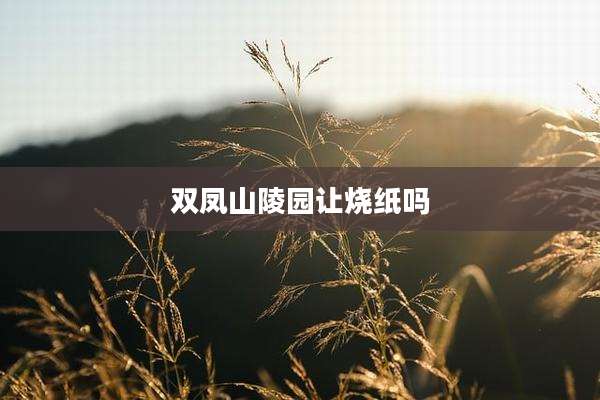 双凤山陵园让烧纸吗