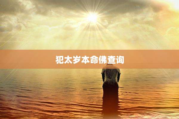 犯太岁本命佛查询