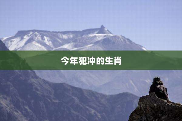 今年犯冲的生肖