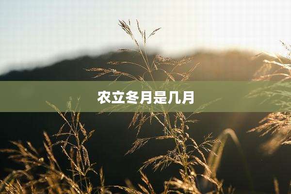 农立冬月是几月