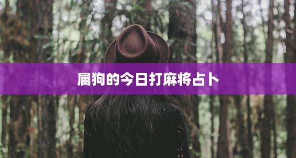 属狗的今日打麻将占卜