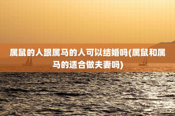 属鼠的人跟属马的人可以结婚吗(属鼠和属马的适合做夫妻吗)