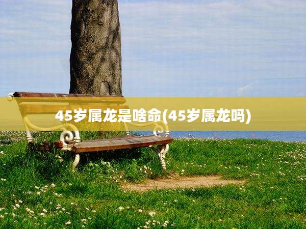 45岁属龙是啥命(45岁属龙吗)
