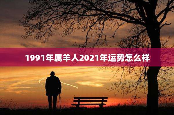 1991年属羊人2021年运势怎么样