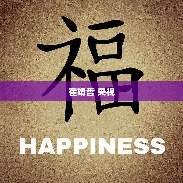 崔婧哲 央视