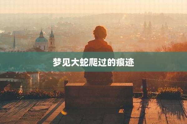 梦见大蛇爬过的痕迹