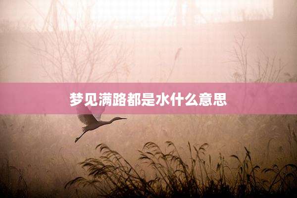梦见满路都是水什么意思